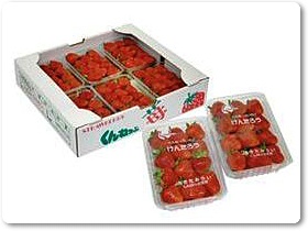 いちご紹介-09 いちご紹介-09