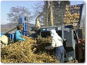 豆類紹介-08 豆類紹介-08