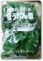 寒締めちぢみほうれん草紹介-03 寒締めちぢみほうれん草紹介-03