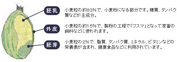小麦紹介-06