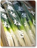 越冬ねぎ紹介-08 越冬ねぎ紹介-08