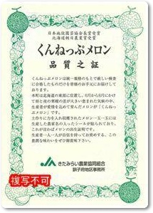 メロン紹介-08 メロン紹介-08