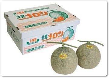 メロン紹介-09 メロン紹介-09