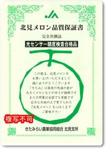 メロン紹介-10 メロン紹介-10