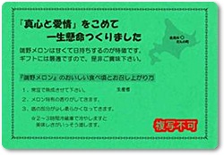 メロン紹介-12 メロン紹介-12