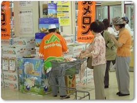 メロン紹介-14 メロン紹介-14