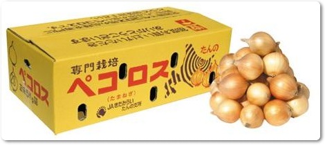 ペコロス（小玉ねぎ、プチオニオン）
