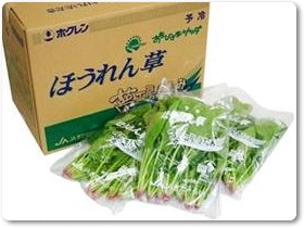 ほうれん草紹介-03 ほうれん草紹介-03