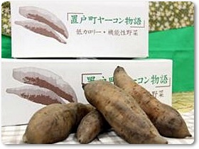 ヤーコン紹介-02 ヤーコン紹介-02