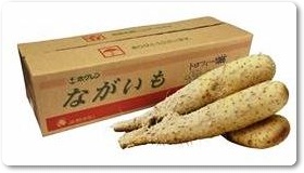 長芋紹介-09 長芋紹介-09