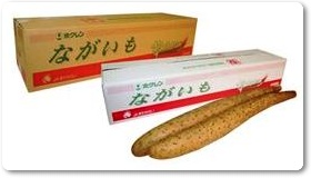 長芋紹介-11 長芋紹介-11
