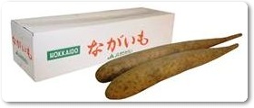 長芋紹介-12 長芋紹介-12
