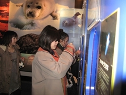 オホーツク流氷館3 オホーツク流氷館3