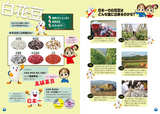 食育冊子 13・14ページ 白花豆 食育冊子 13・14ページ 白花豆
