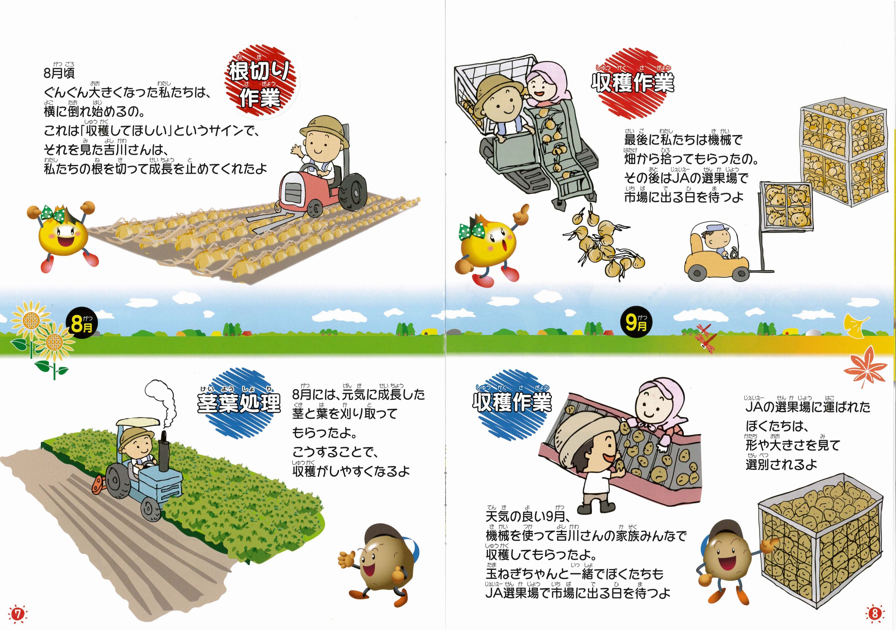 玉ねぎちゃんとじゃがいもくん_05 玉ねぎちゃんとじゃがいもくん_05