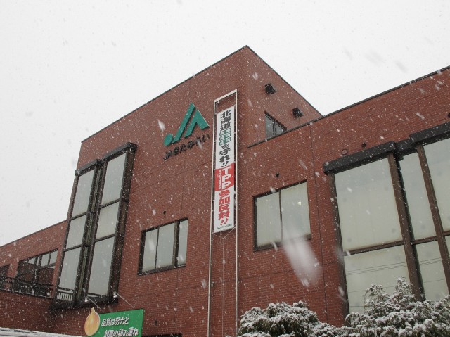 雪が舞う様子