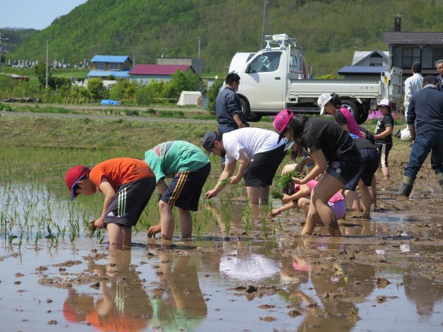 田植えの様子2