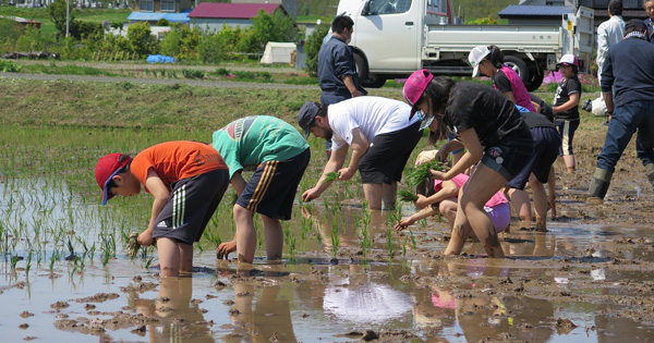 【食農教育活動】東相内小学校で田植えの体験学習を行いました！