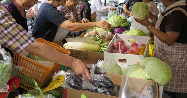 【イベント情報】8月12日、Aコープ留辺蘂支店で「野菜市」を開催します！