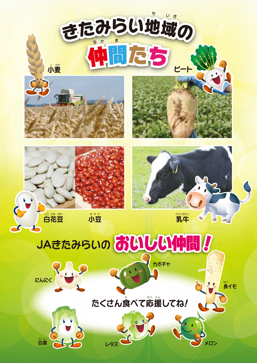 玉ねぎちゃんとじゃがいもくん 全国に出発!_07 玉ねぎちゃんとじゃがいもくん 全国に出発!_07