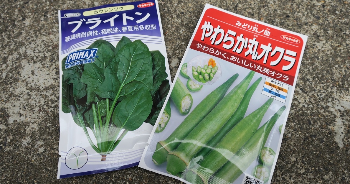 広報誌「ぐりんgreen」でご紹介したオクラとほうれん草の栽培にチャレンジ！