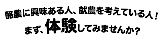 酪農に興味ある人、就農を考えている人!まず、体験してみませんか?