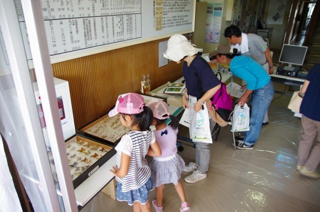 病害虫展示