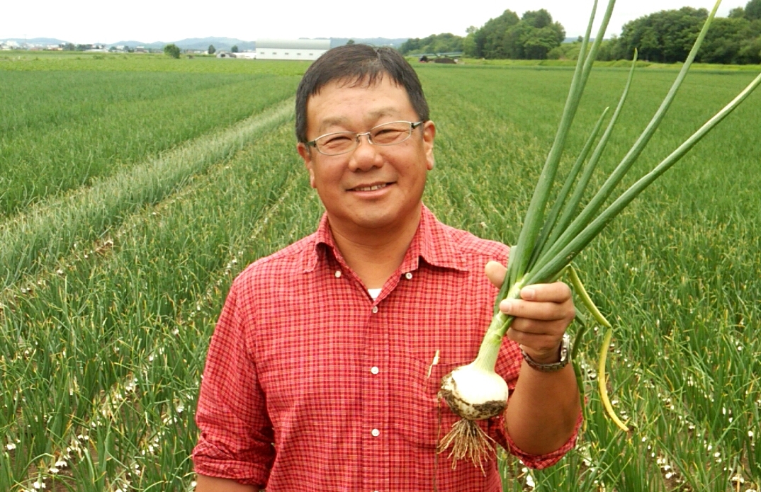 貴重な玉ねぎ「真白」の成長過程をご紹介します！