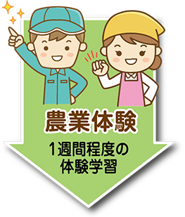 農業体験