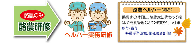 酪農のみ 酪農研修