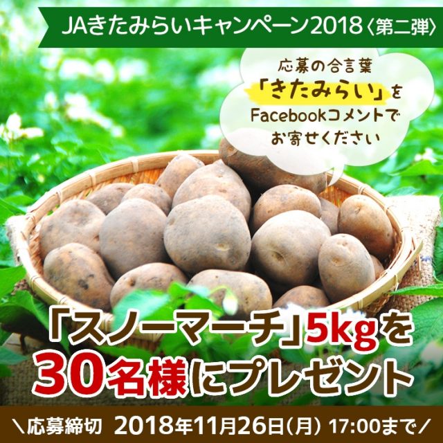 2018キャンペーン第二弾