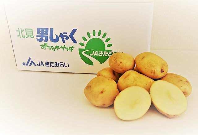 Jaきたみらい産じゃがいもの種類と特徴 Jaきたみらい