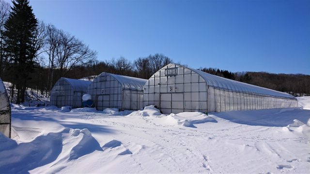 2月の様子