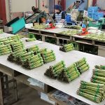 出荷準備