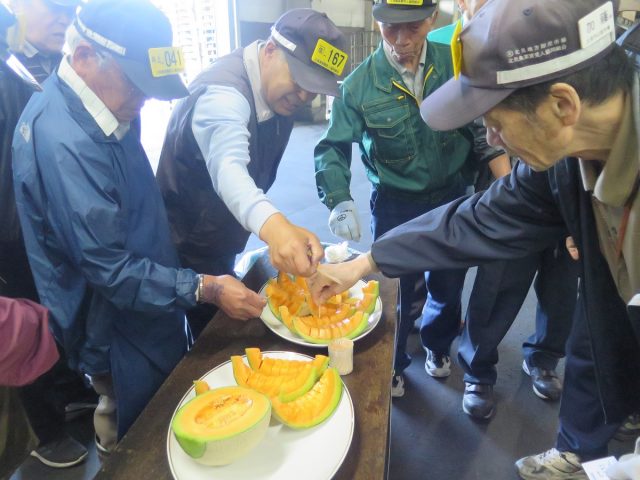 北見メロン初競り後の試食