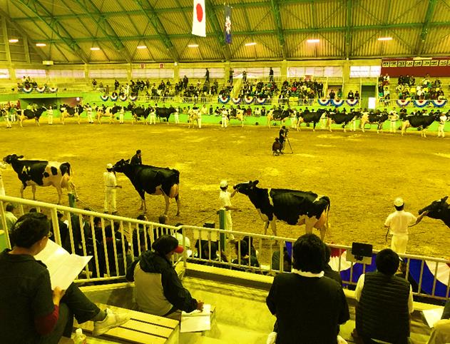 北海道総合家畜共進会の様子3