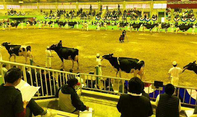 「北海道総合家畜共進会」が安平町で開催されました！