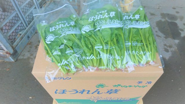 出荷時のほうれん草