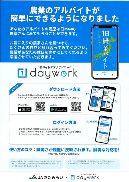 dayworkチラシ裏