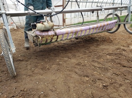 玉ねぎの苗を切る機械
