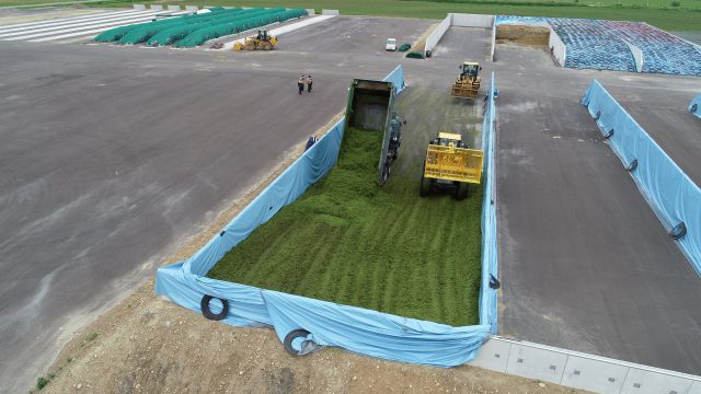 酪農家のエサ作りをドローンで見てみよう 牧草の収穫 バンカーサイロへの踏み込み作業 Jaきたみらい