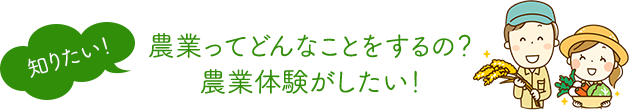 知りたい!農業ってどんなことするの?農業体験がしたい!