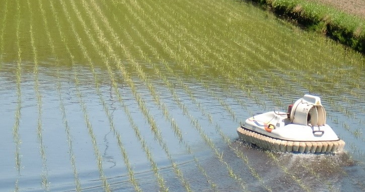 作業速度が格段に向上！ ホバークラフトでの水稲防除の様子をご紹介します