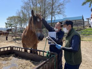 登録作業の様子1