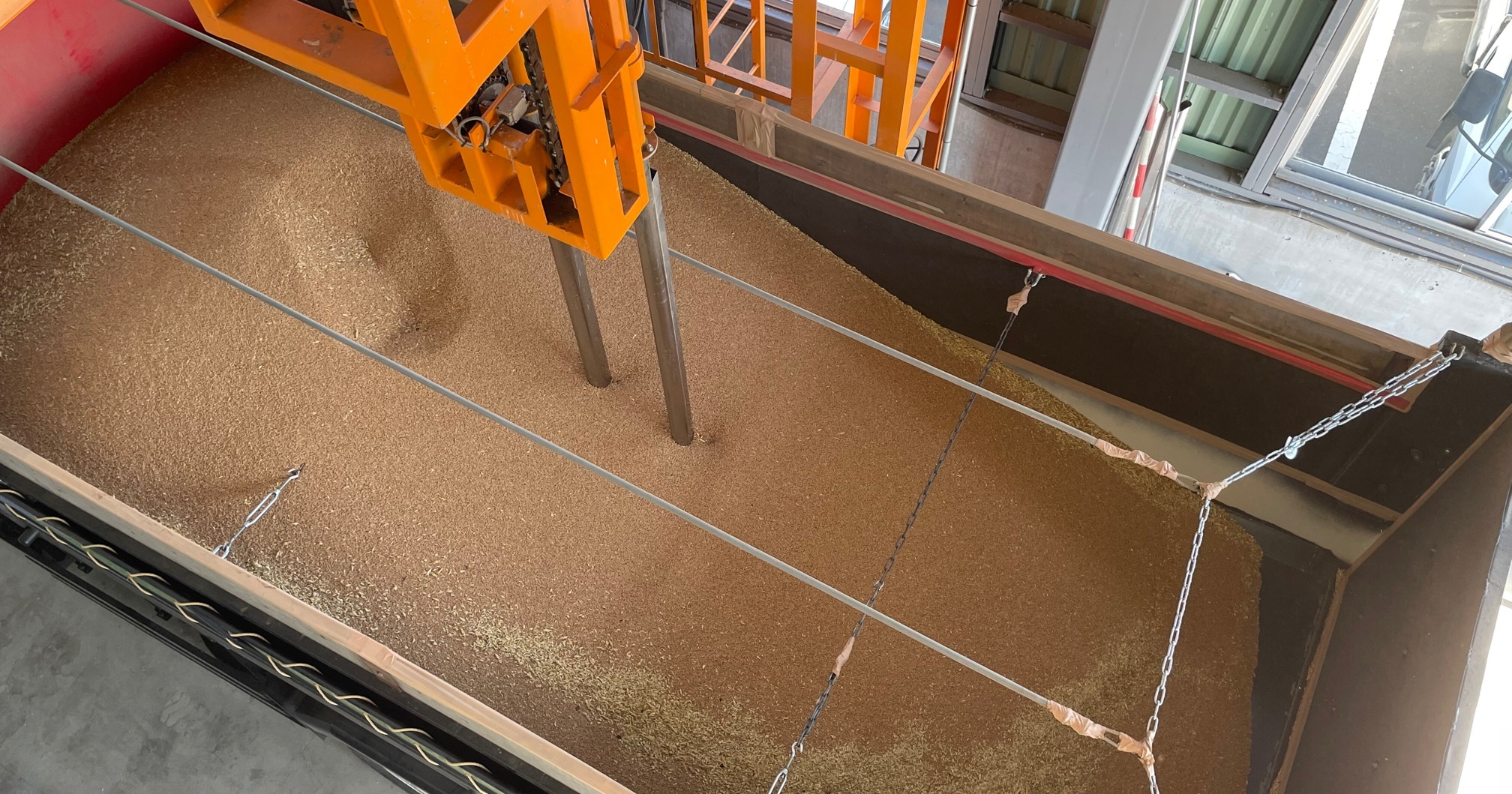 収穫された小麦が乾燥工場へ運ばれてからの様子をご紹介します