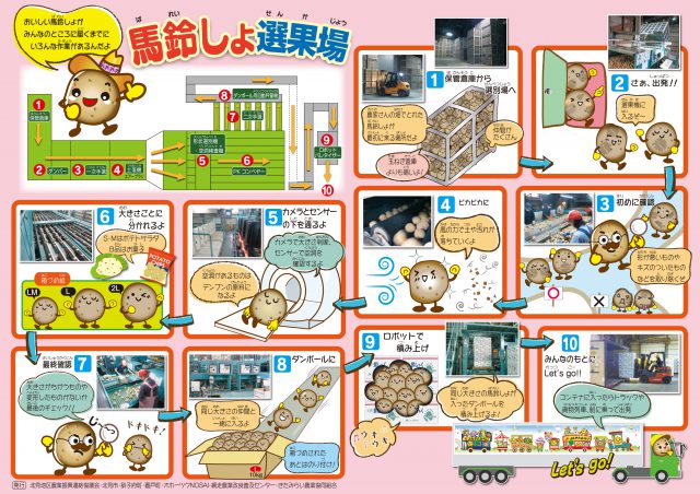 馬鈴しょ選果場 馬鈴しょ選果場