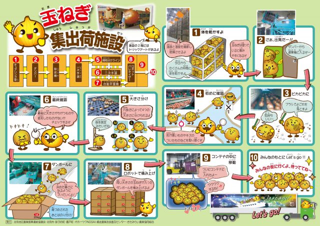 玉ねぎ集出荷施設 玉ねぎ集出荷施設