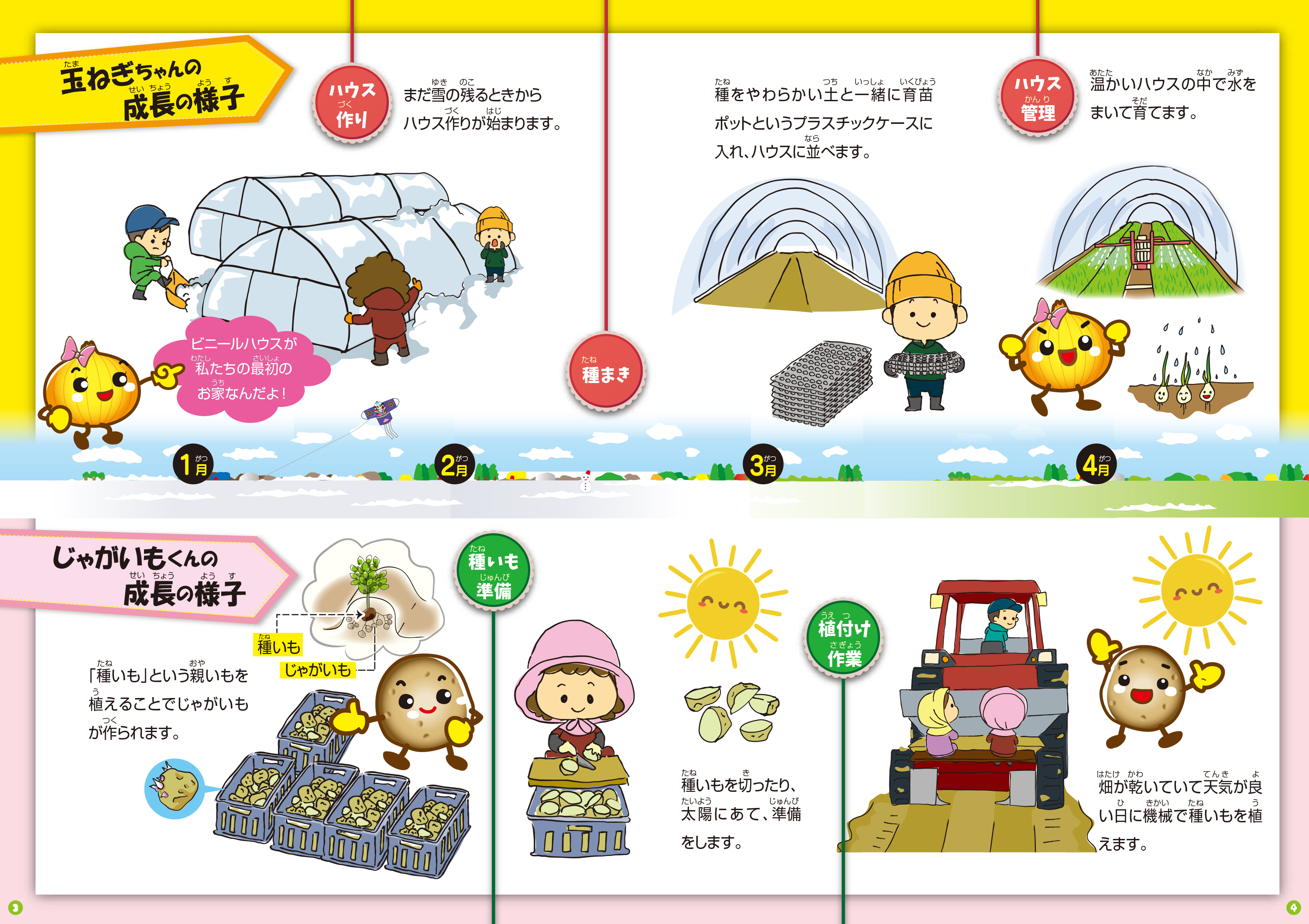 玉ねぎちゃんとじゃがいもくん-03 玉ねぎちゃんとじゃがいもくん-03