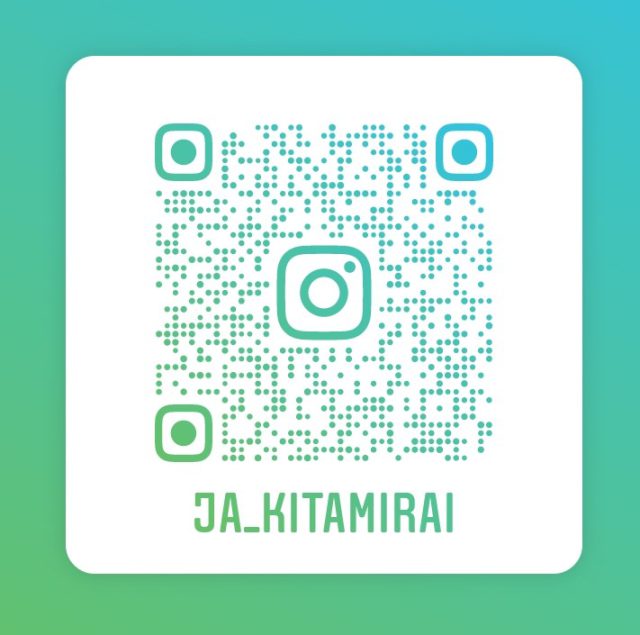 Instagram QR