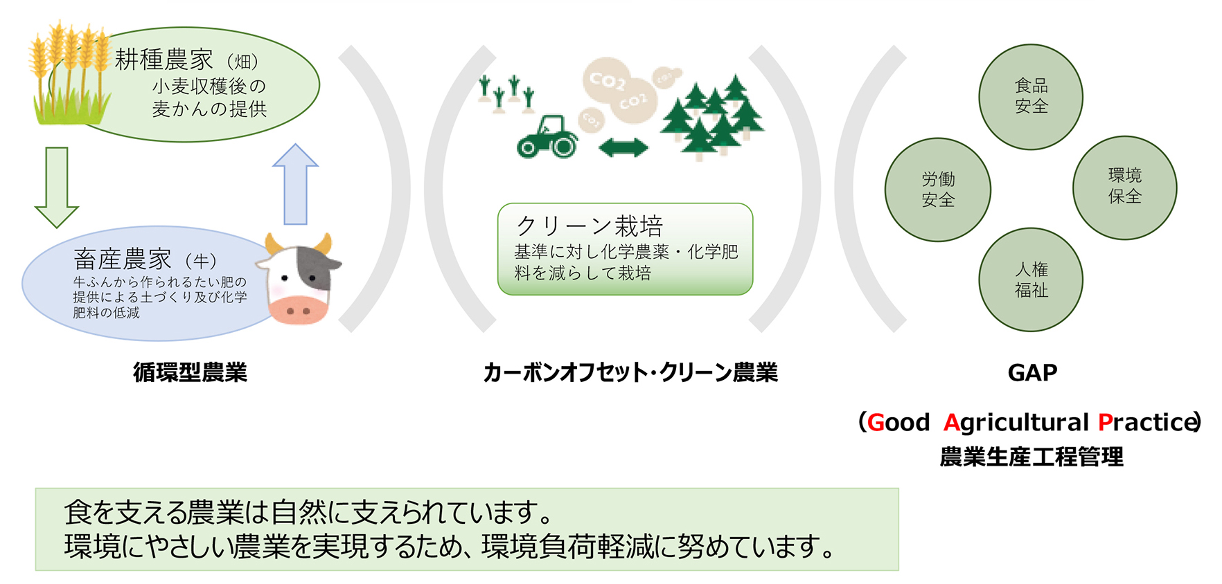 ECOみらいの取り組み